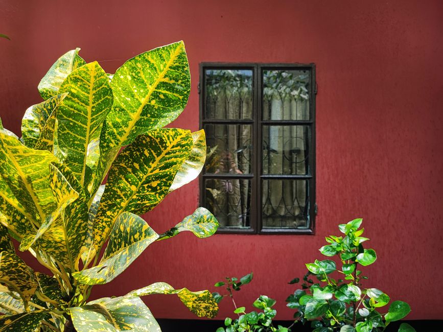 Painted house wall with windows in daylight